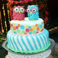 Amazing Owl Birthday Party