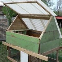 DIY Backyard Chicken Coup