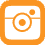 BTM instagram button