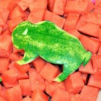 Watermelon Carving