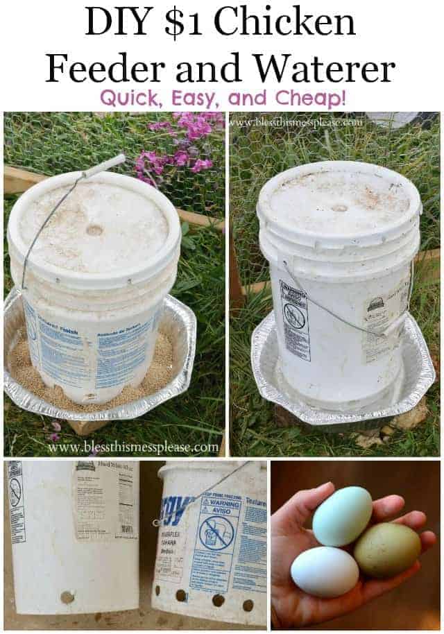 DIY chicken water and feeder from 5-gallon buckets - Bless This Mess