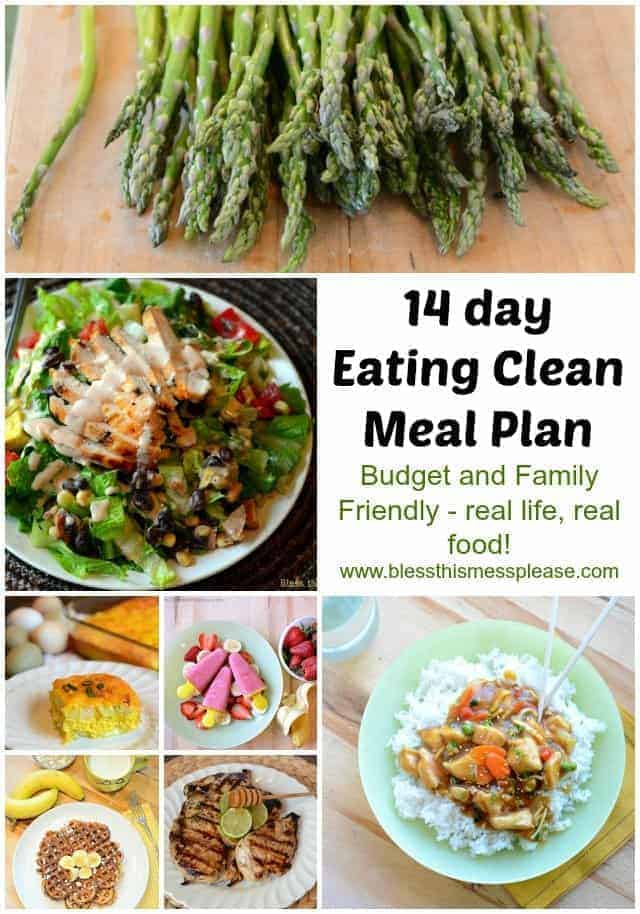 Quick Diet Friendly Meals