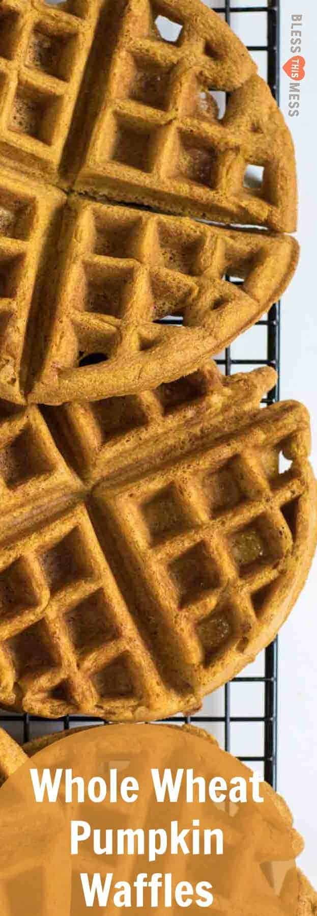 Perfect light and fluffy whole wheat pumpkin waffles for a healthy breakfast all fall long. 