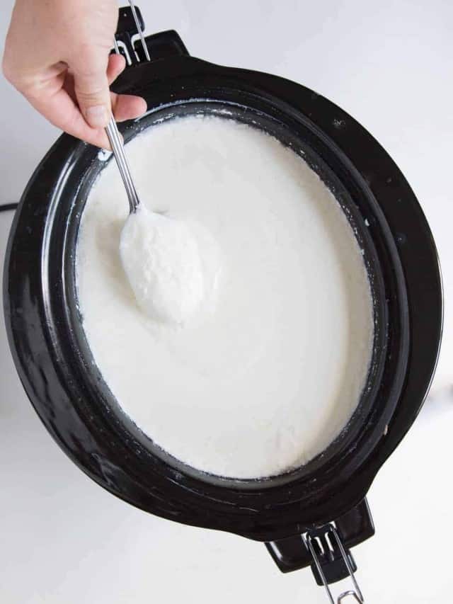Slow Cooker Yogurt Recipe — Bless this Mess
