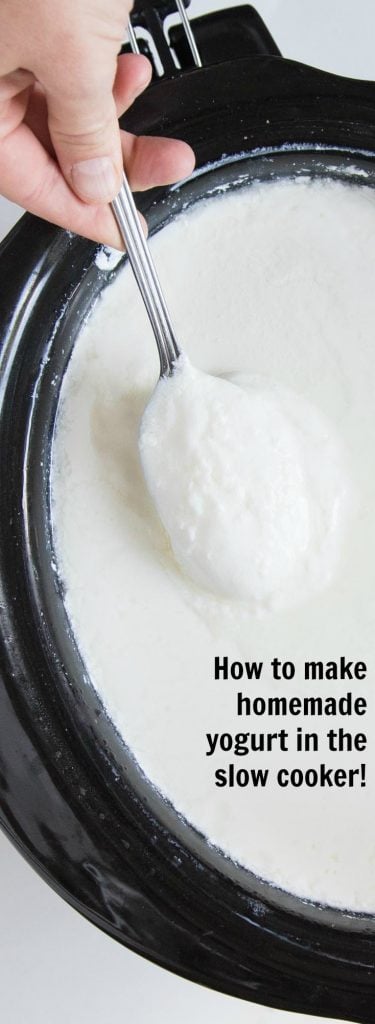 A hand holding a spoonful of creamy slow cooker yogurt above a black slow cooker filled with yogurt. Text on the image reads: How to make homemade yogurt in the slow cooker!.