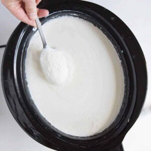 white slow cooker yogurt in a black slow cooker or crock pot with hand holding spoon dipped in yogurt.