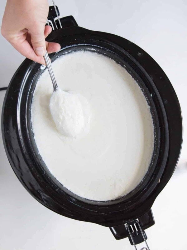 white slow cooker yogurt in a black slow cooker or crock pot with hand holding spoon dipped in yogurt.