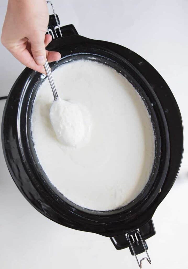 white slow cooker yogurt in a black slow cooker or crock pot with hand holding spoon dipped in yogurt.