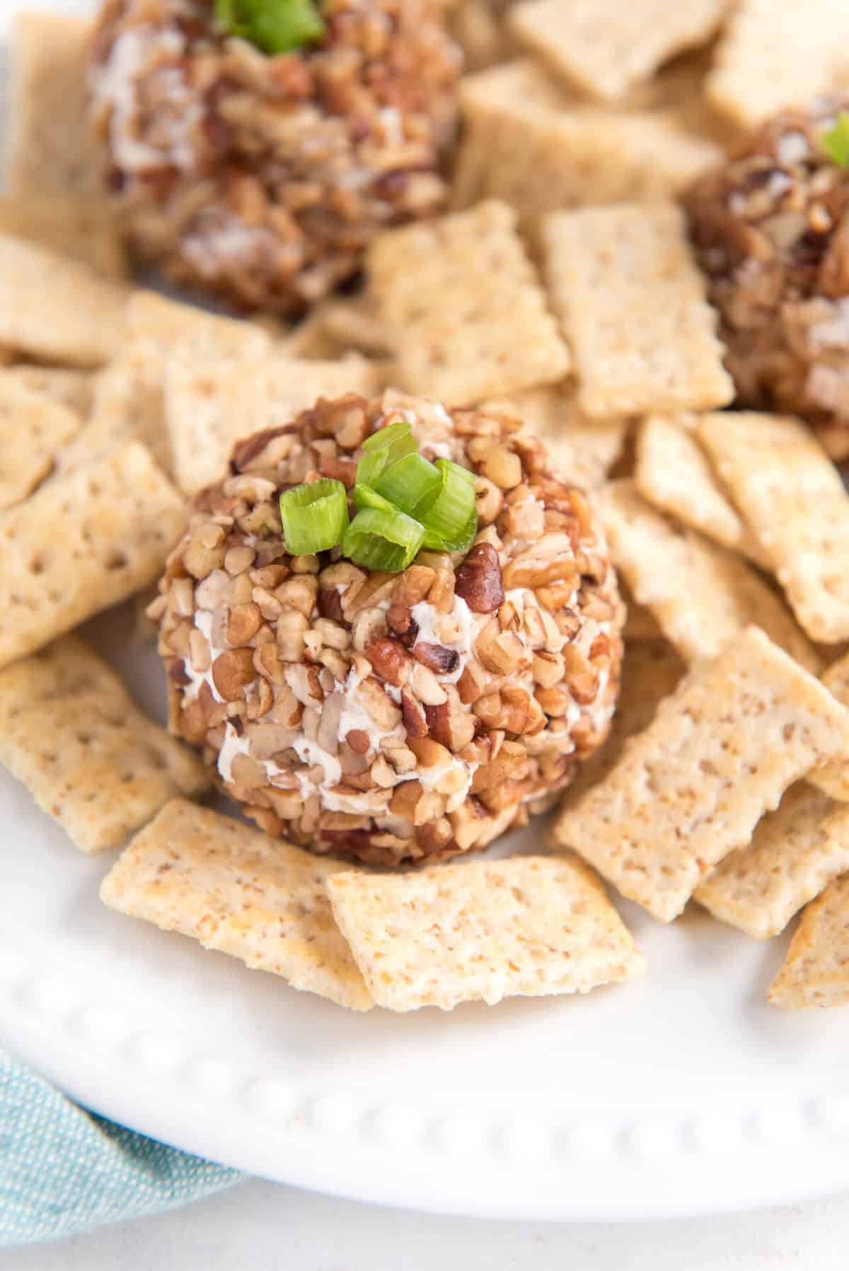 beef and onion cheese ball surrounded by crackers on a white plate.