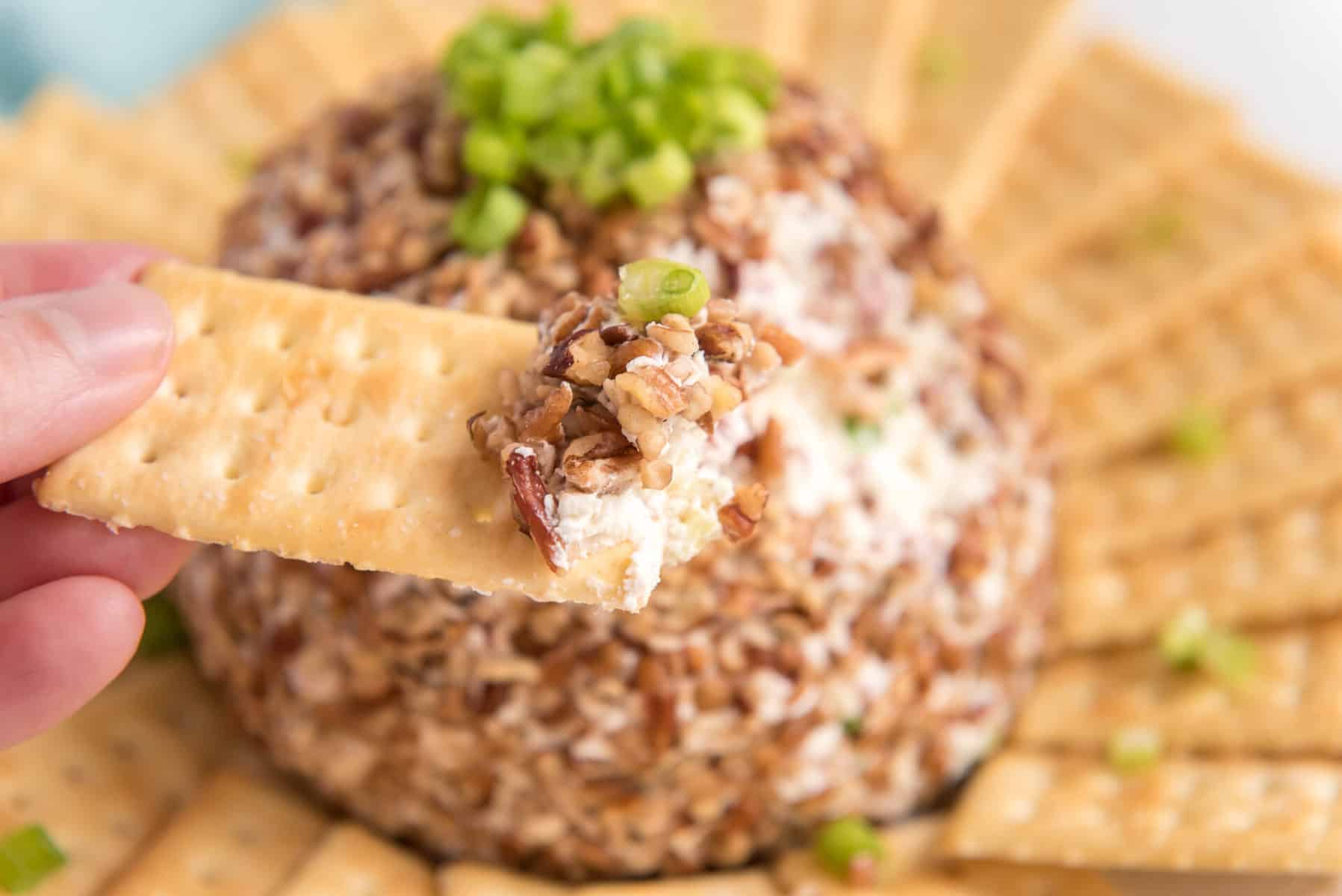 close up of beef and onion cheese dip on a cracker