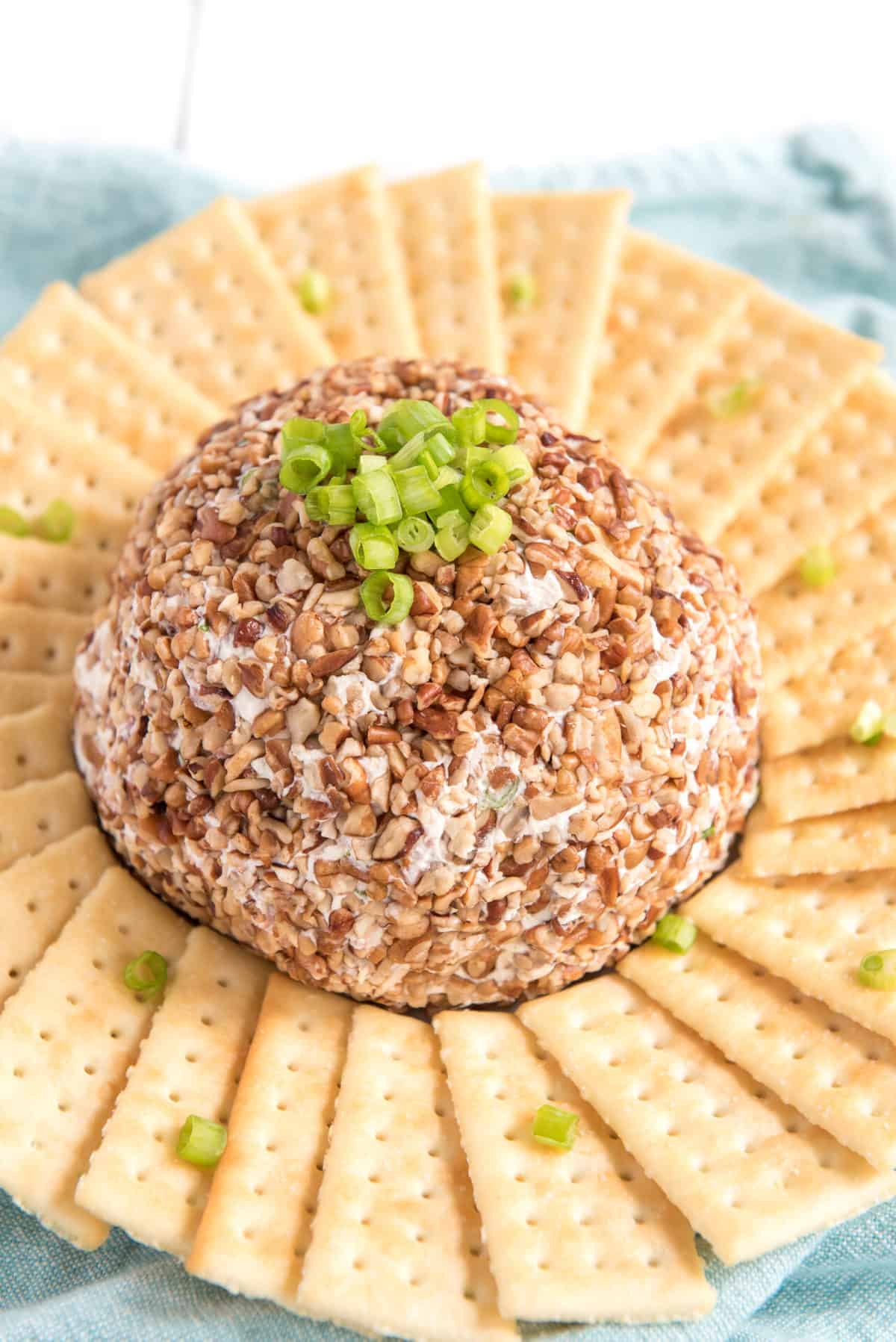 You can never go wrong with a cheese ball, especially when hosting a holiday gathering! Salty, crunchy, and cheesy, it's the perfect appetizer for guests to munch on as they visit with each other. I love how simple they are to throw together, and everyone loves snacking on them before a rich and hearty meal. #cheeseball #homemadecheeseball #cheeseballrecipe #easycheeseball #easyappetizer #partyappetizer #holidayappetizer