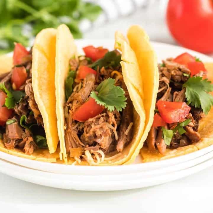 Steak Carnitas Meat in the Crockpot - Bless This Mess