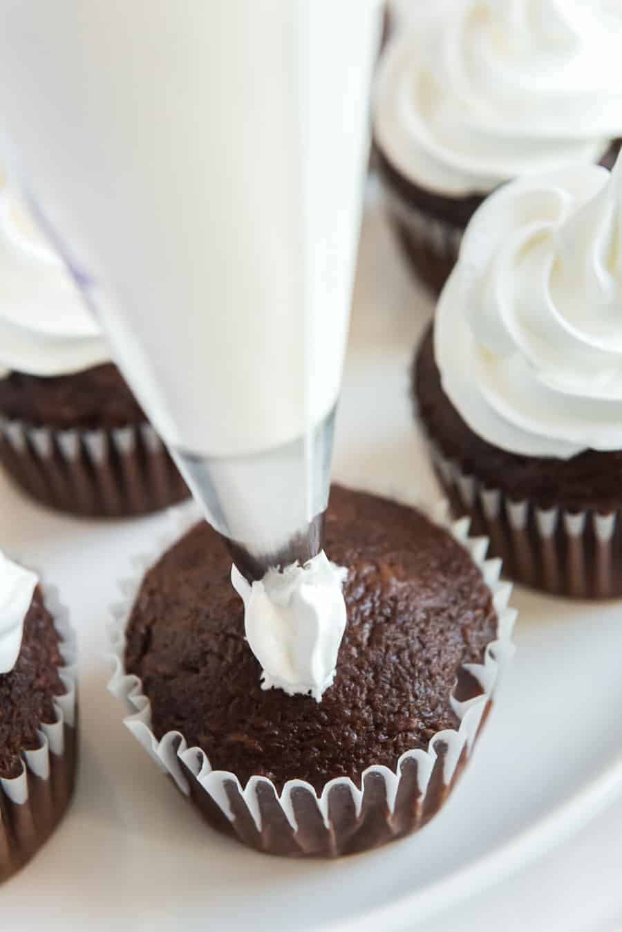 chocolate cupcakes on a white plate with white frosting being piped onto one out of a frosting bag and white frosting on the other cupcakes.