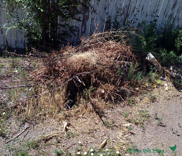 A pile of sticks in front of a wooden fence in a yard