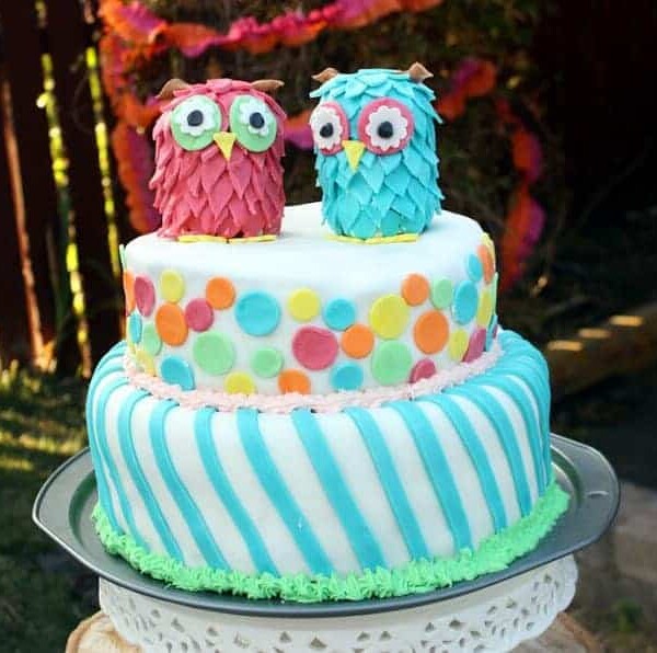 A two-tiered birthday cake with two owls on top