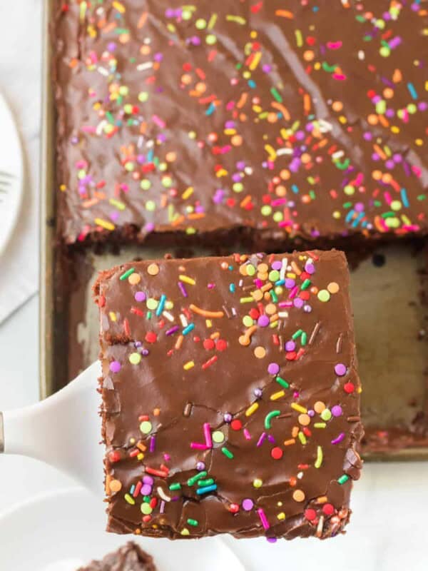 top view of chocolate sheet cake with sprinkles on top