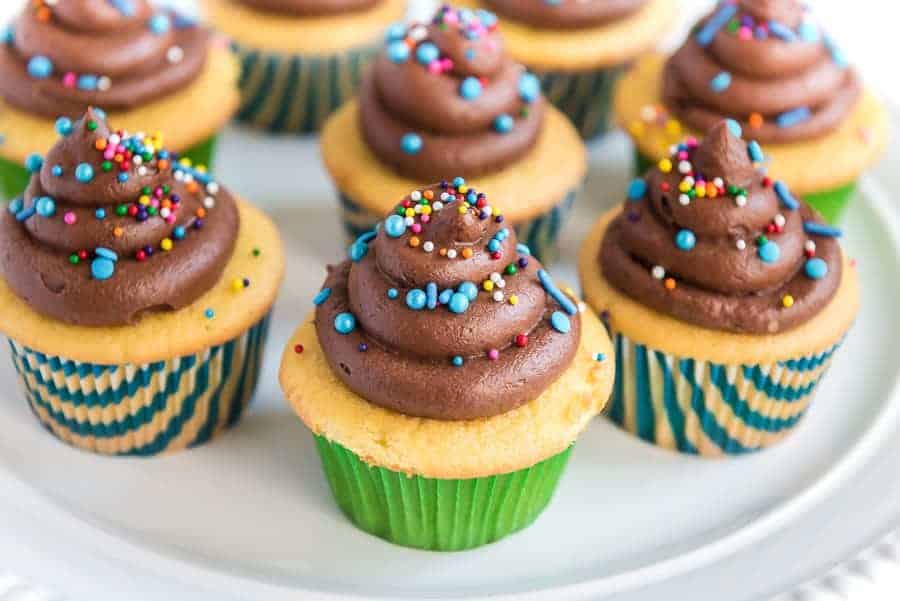 Vanilla cupcakes with chocolate frosting and rainbow sprinkles.