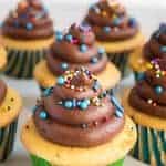 Vanilla cupcakes with chocolate buttercream frosting