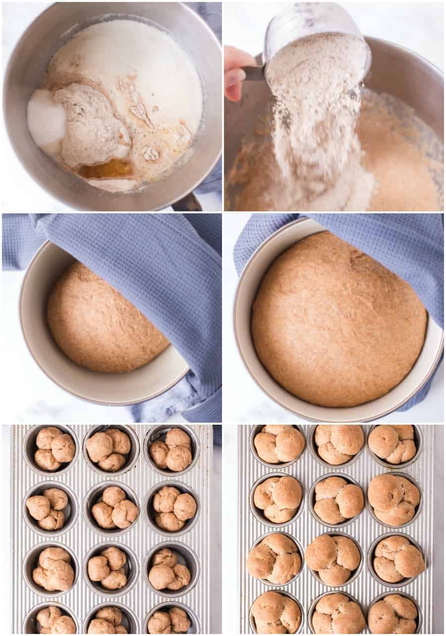whole wheat clover rolls recipe how to collage image
