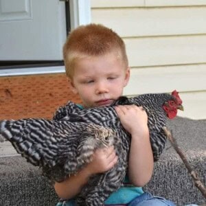 kiddo holding a large chicken