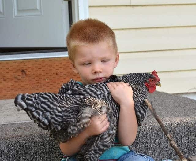 small red-headed boy holding a black and white chicken sitting on a porch.