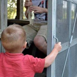 kiddo in the coop
