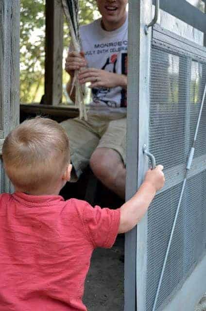 kiddo in the coop