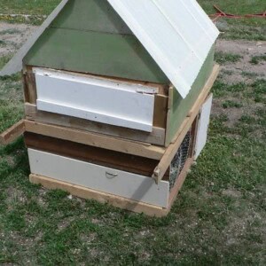 chicken coop DIY and rustic