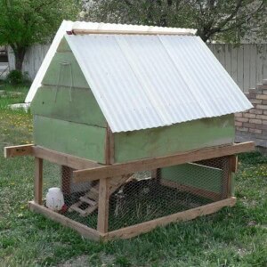 chicken coop DIY and rustic