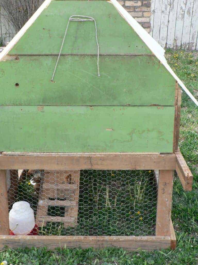 DIY Chicken coop, how to build a chicken coop, coop ideas for chickens