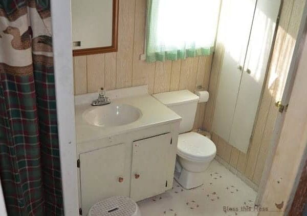 biggest mess: bathroom reno