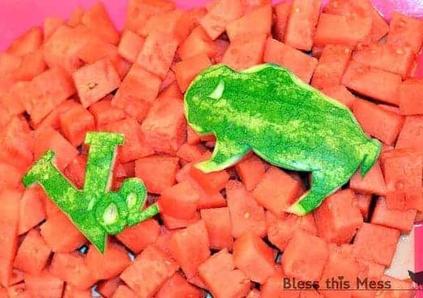 watermelon decorations