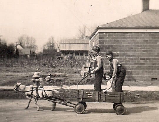 grandpa and the goat cart