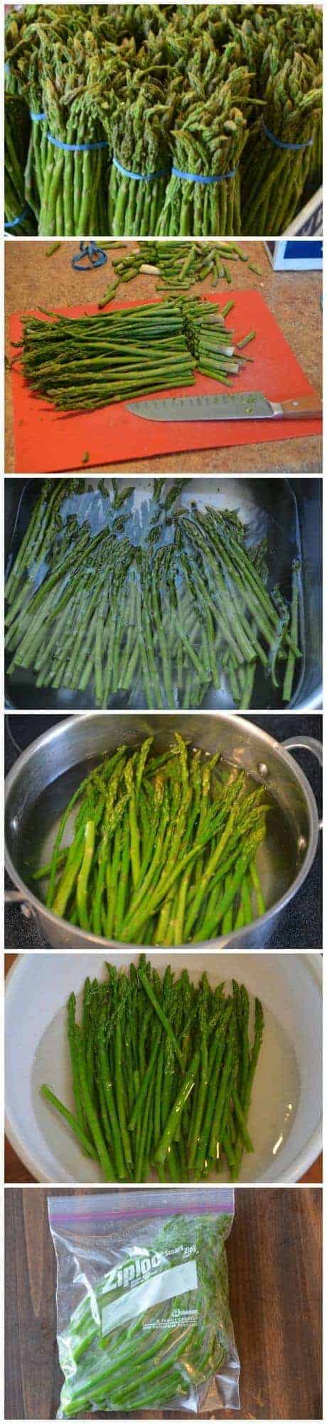 step by step pictures on how to store asparagus