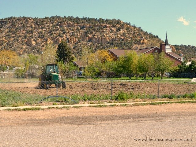 garden at the shanty first plow