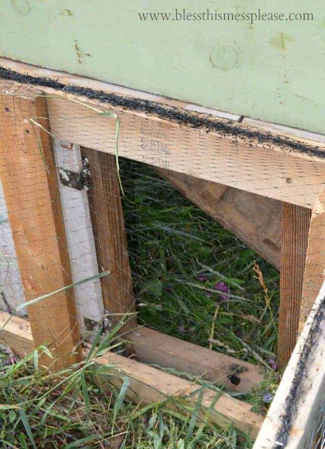 DIY chicken run on the cheap