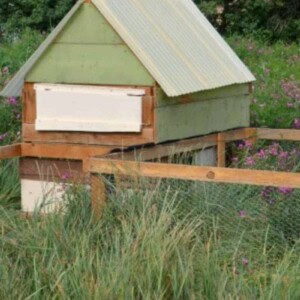 A green and wood chicken coop with an adjoining fenced-in outdoor space in a grassy field