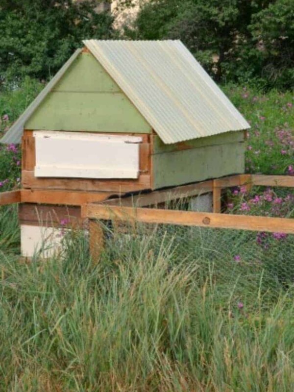 A green and wood chicken coop with an adjoining fenced-in outdoor space in a grassy field