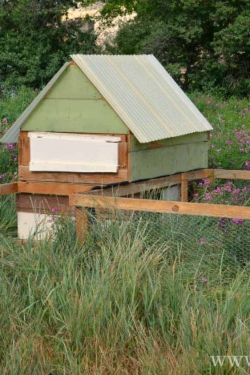 A green and wood chicken coop with an adjoining fenced-in outdoor space in a grassy field