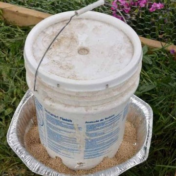 DIY Chicken Waterer and Feeder from 5-gallon Buckets