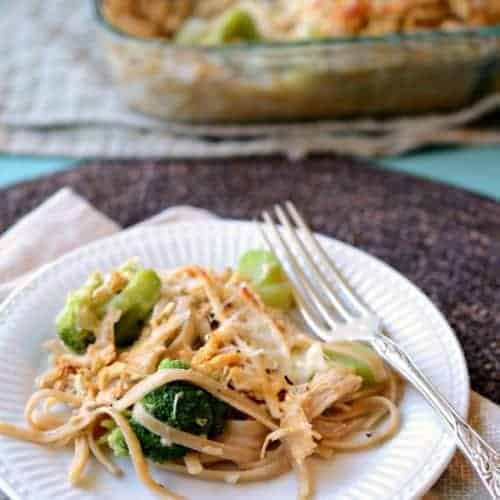 Chicken and Broccoli Tetrazzini on a white plate