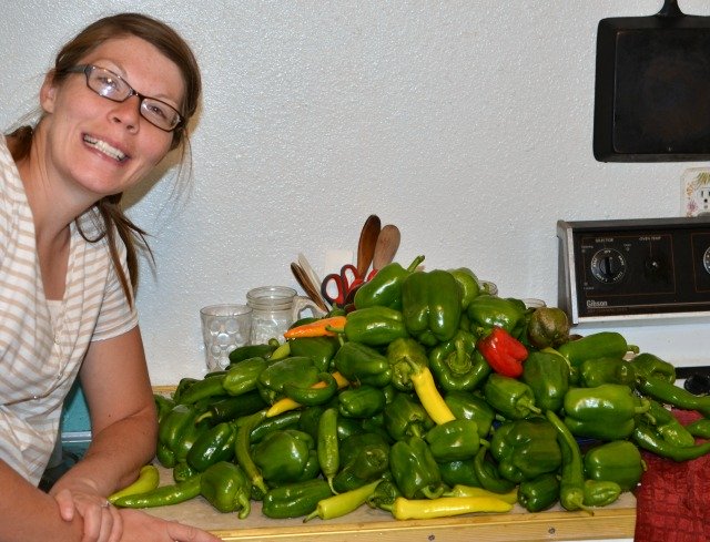 How to save green peppers, the best and easiest way from www.blessthismessplease.com