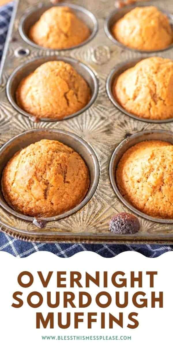 Overnight Sourdough Muffins — Basic Recipe