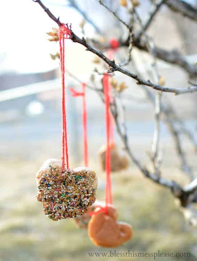 Simple DIY Bird Feeder that is fun to make and a blast to watch the birdies enjoy | www.blessthismessplease.com