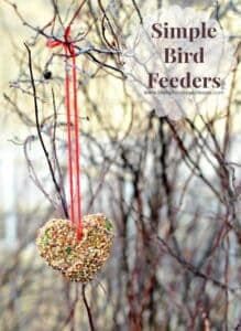 Simple DIY Bird Feeder