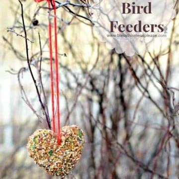 DIY Bird Feeders is a simple and fun activity for kids and families to do together.