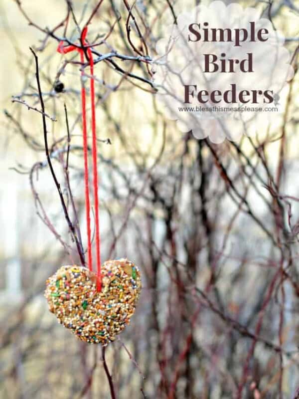 DIY Bird Feeders is a simple and fun activity for kids and families to do together.