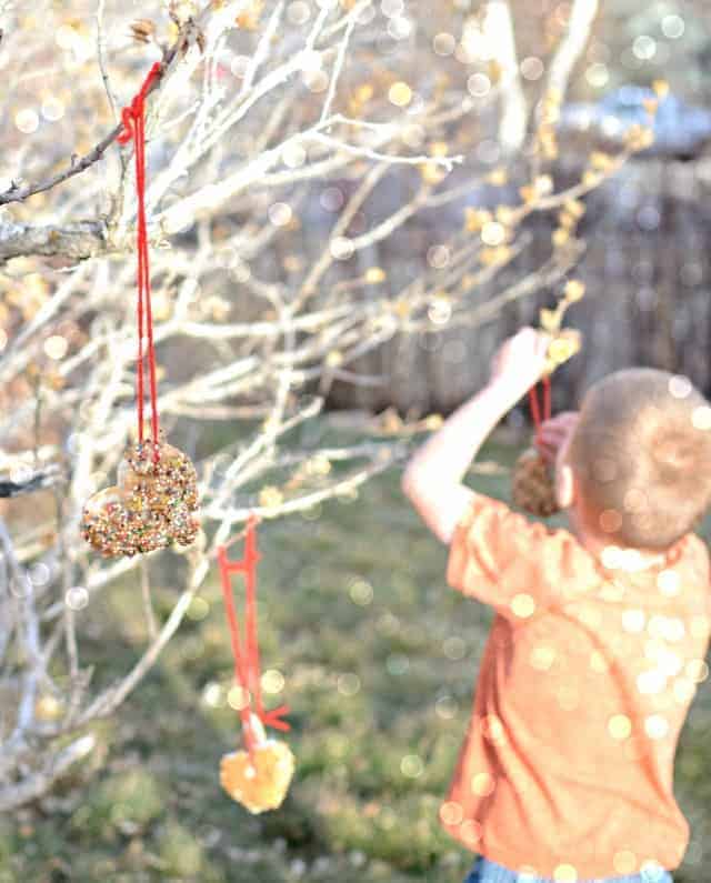 Simple DIY Bird Feeder that is fun to make and a blast to watch the birdies enjoy | www.blessthismessplease.com