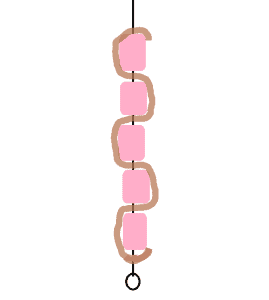 how to arrange the bacon and chicken on the skewer