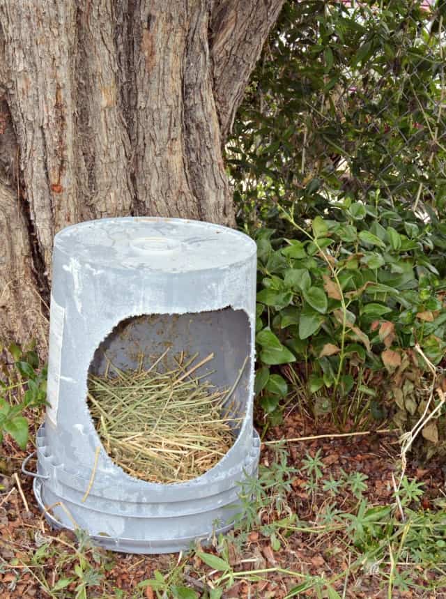 hobby farm chicken buckets